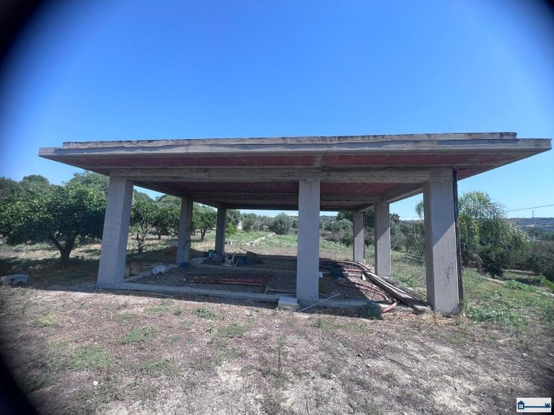 Immagine WhatsApp 2025-07-23 ore 17.39.12_59967b3c.jpg